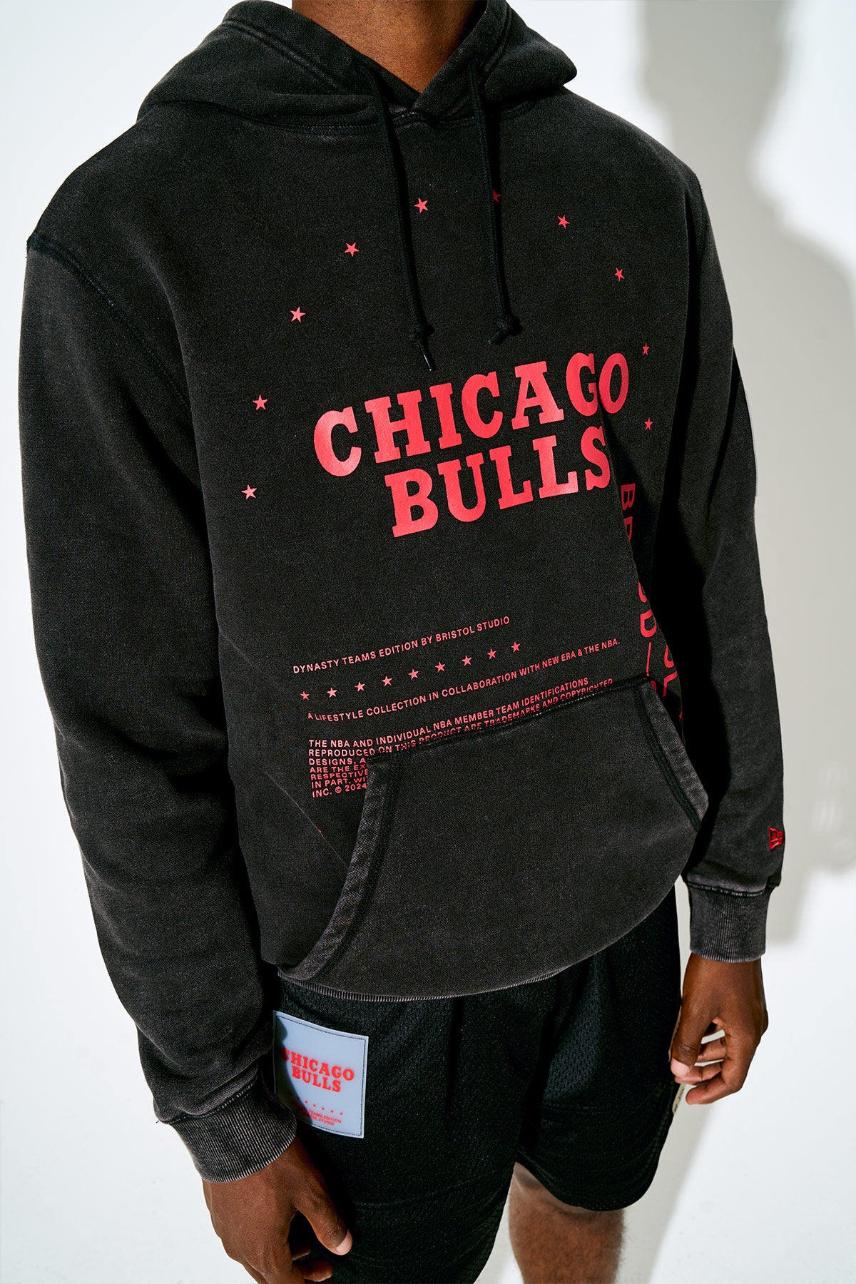 Dynasty Hoodie — Bulls